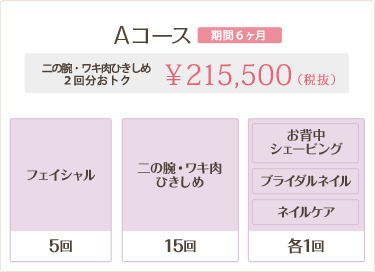 Aコース 215,500円 二の腕・ワキ肉ひきしめ2回分おトク