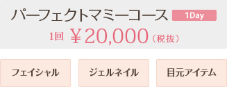 パーフェクトマミーコース 1回20,000円