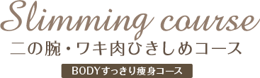 Slimming course 二の腕・ワキ肉ひきしめコース BODYすっきり痩身コース