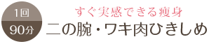 すぐ実感できる痩身 二の腕・ワキ肉ひきしめ