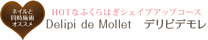 HOTなふくらはぎシェイプアップコース Delipi de Mollet　デリピデモレ